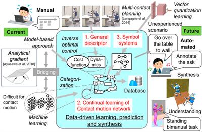 Towards understanding and synthesis of contact-rich anthropomorphic motions through interactive cyber-physical human